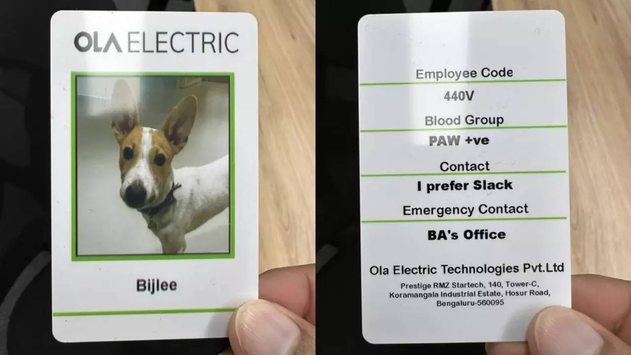 Ola Electric New Employee Bijlee