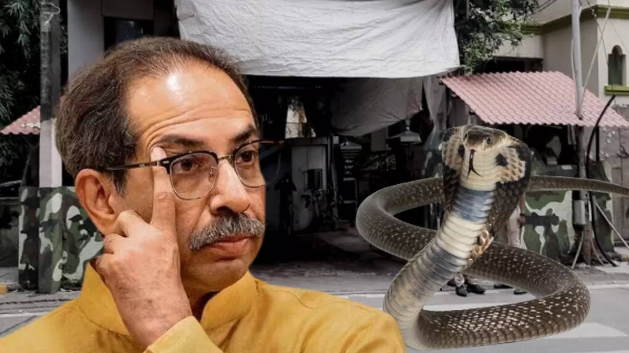 King Cobra, Uddhav Thackeray, Matoshree