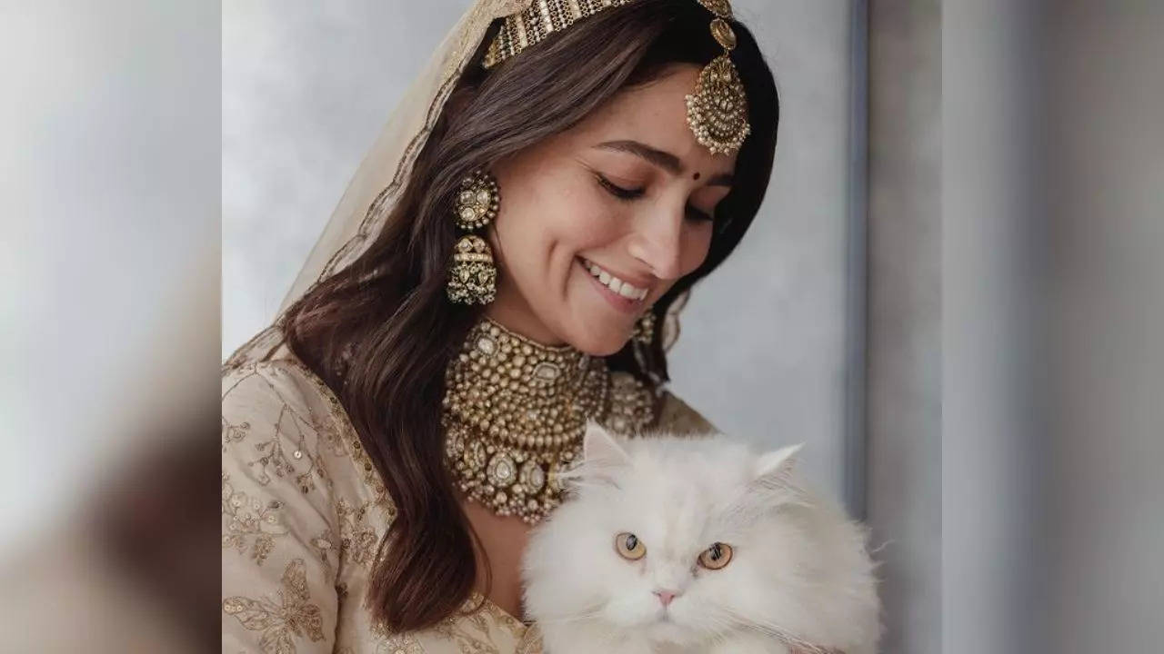 Alia Bhatt, ​International Cat Day 2023, ​International Cat Day