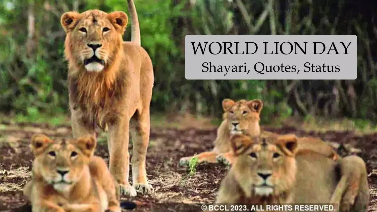 World Lion Day 2023 Shayari, Quotes, Status in Hindi​