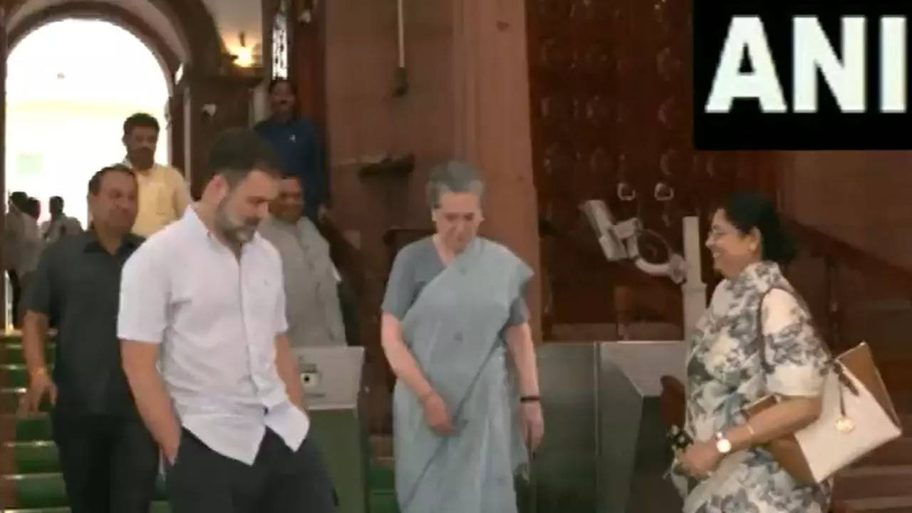 rahul and sonia gandhi