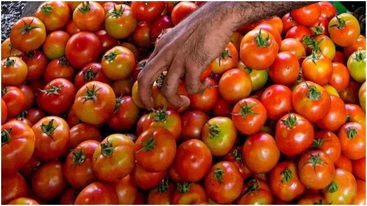 Tomato Price Hike