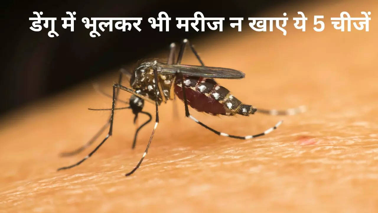 Foods to Avoid in Dengue, Dengue, Dengue Fever