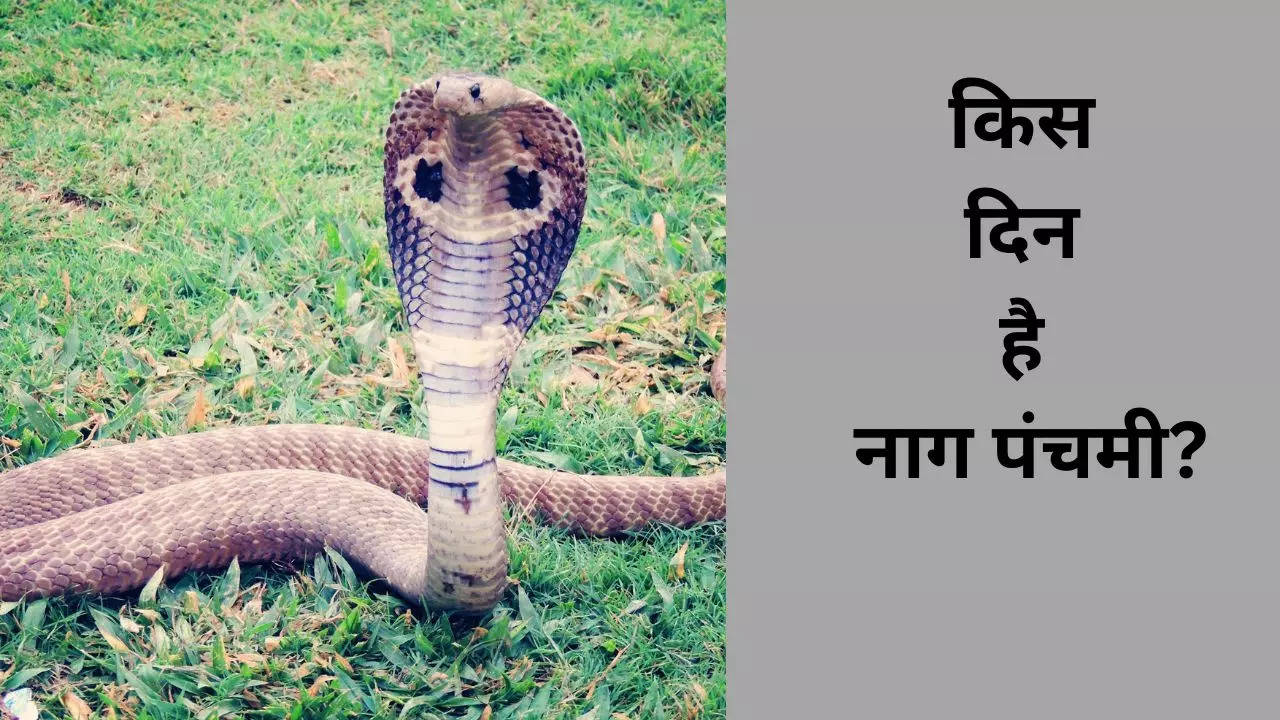 Nag Panchami Date, Nag Panchami, Nag Panchami 2023