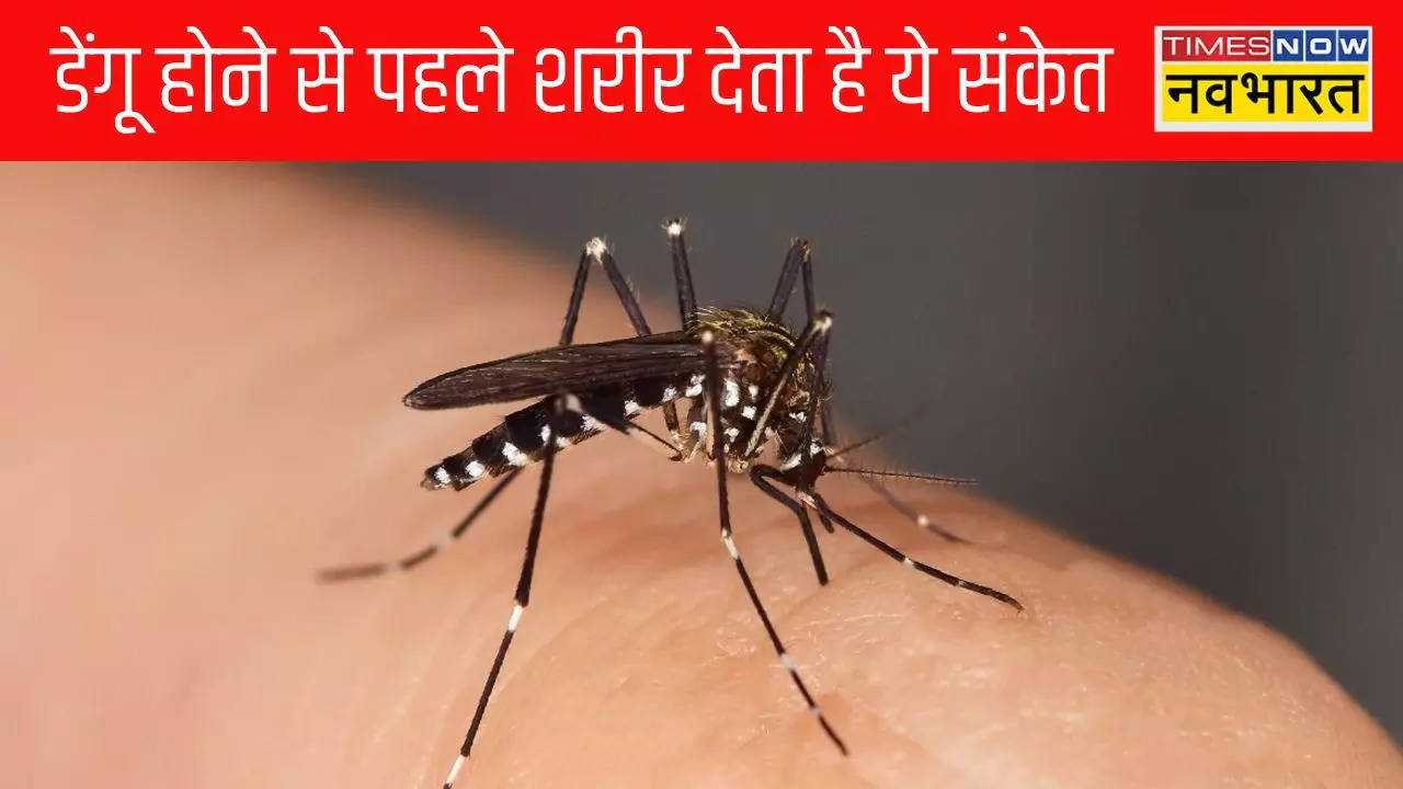 7 warning symptoms of Dengue