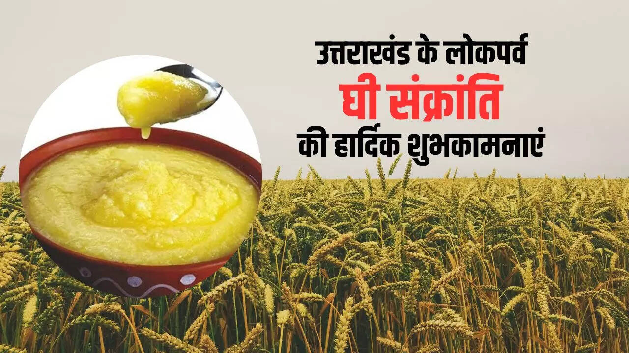Ghee Sankranti 2023 Images Uttarakhand Ghee Sankranti 2023 Date, Puja Vidhi, Mahata, Singh
