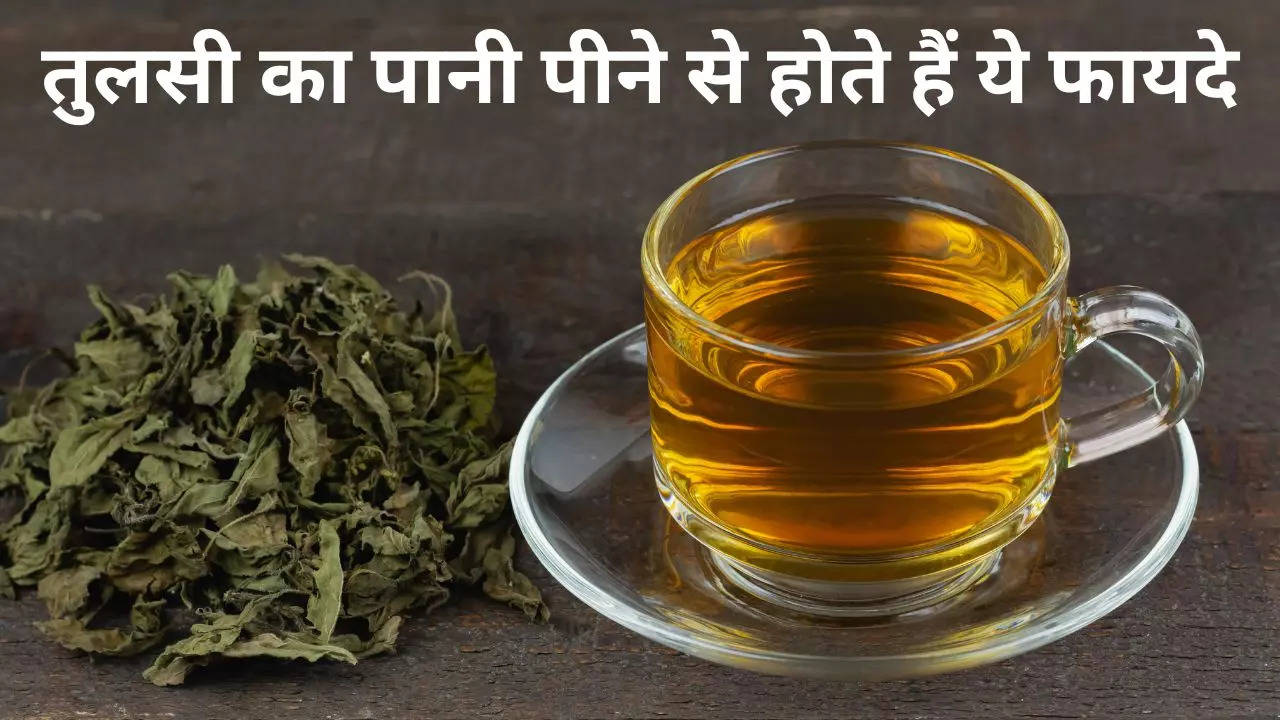 Tulsi Water, Tulsi Water Benefits, Tulsi Water Health Benefits