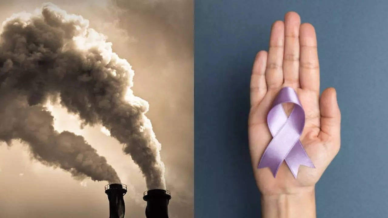 Air pollution causes cancer