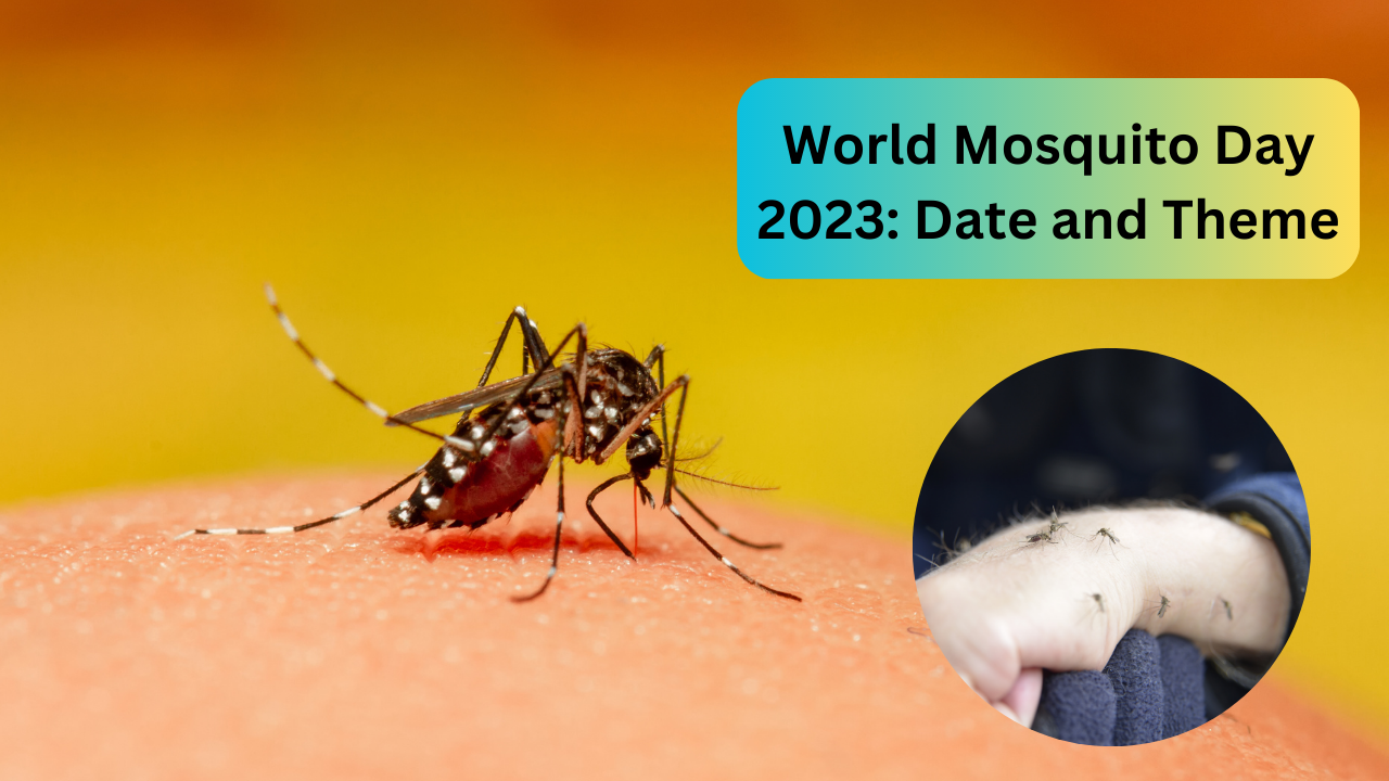 World Mosquito Day, mosquito day date, mosquito monsoon date and theme