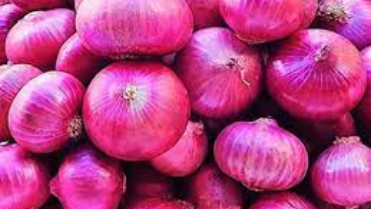 onion price