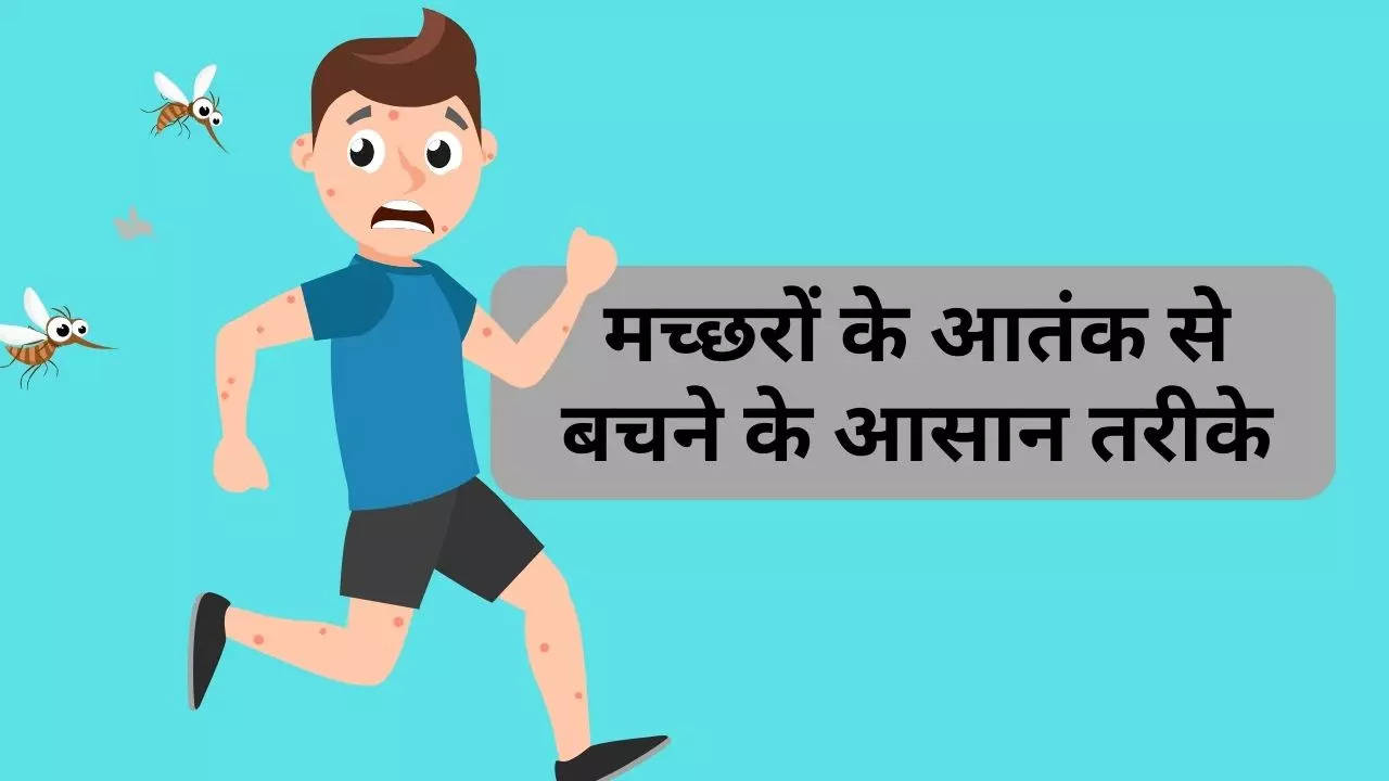 मच्छर भगाने के तरीके, how to get rid of mosquitos