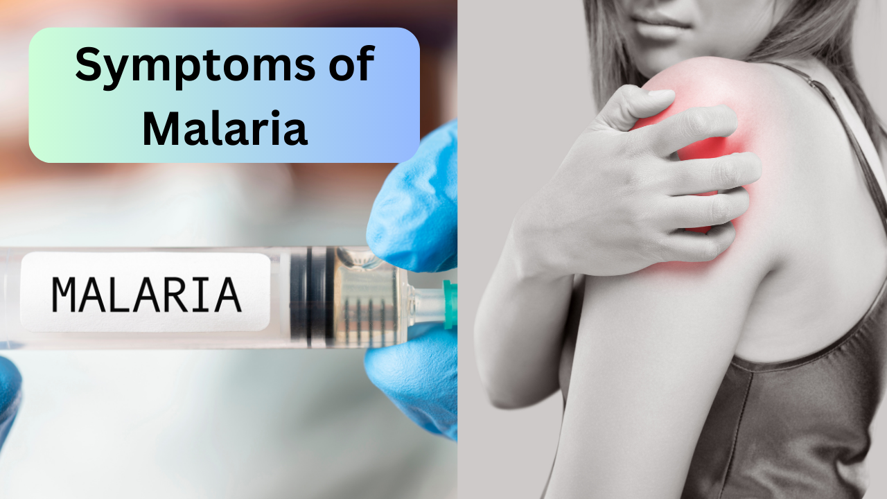 Malaria, symptoms of malaria, malaria mosquito symptoms