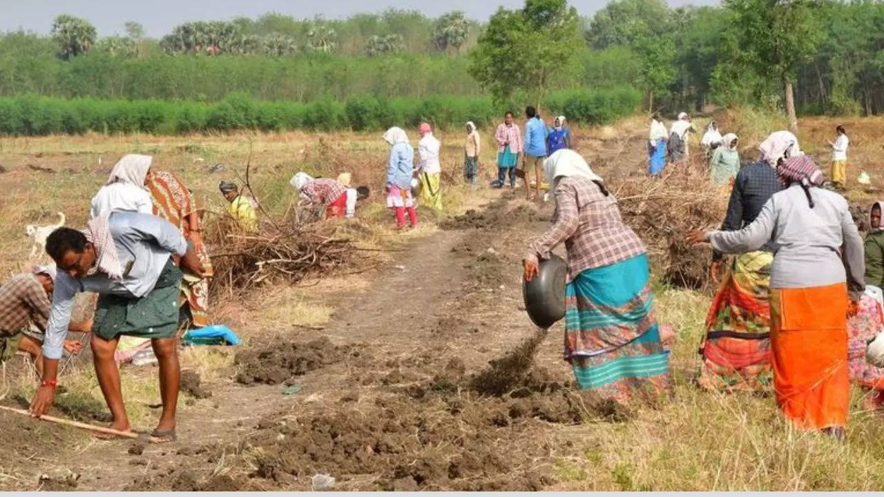 MNREGA money will get stuck do this work till 31st August