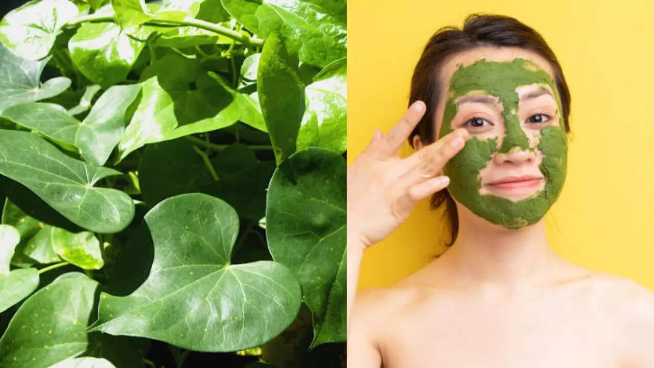 how to use giloy face pack for glowing and shiny skin, giloy face pack