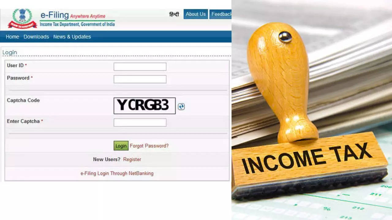 Income Tax Website