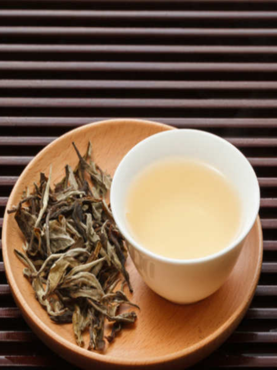 What is White Tea Know its benefits in marathi काय आहे व्हाइट टी