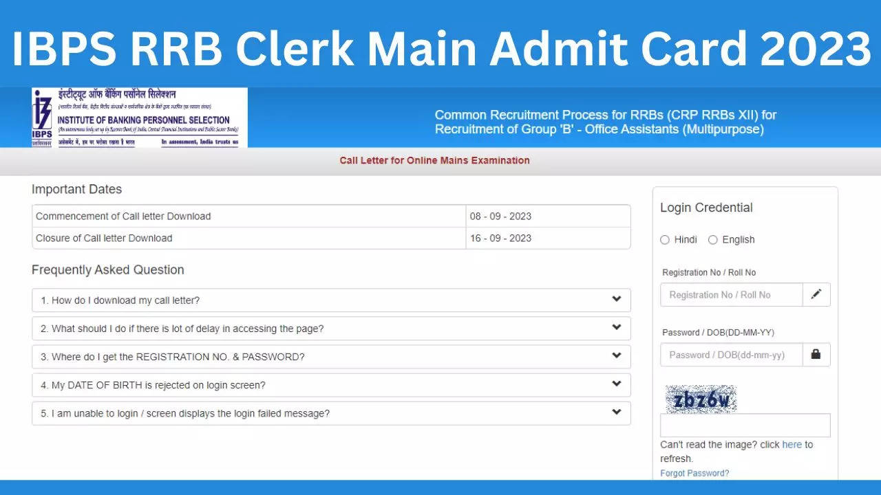 IBPS RRB Clerk Main Admit Card 2023