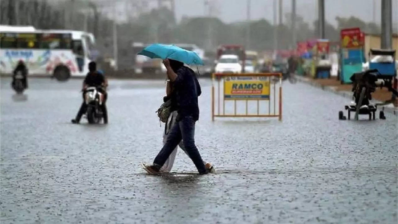 rajasthan  rain