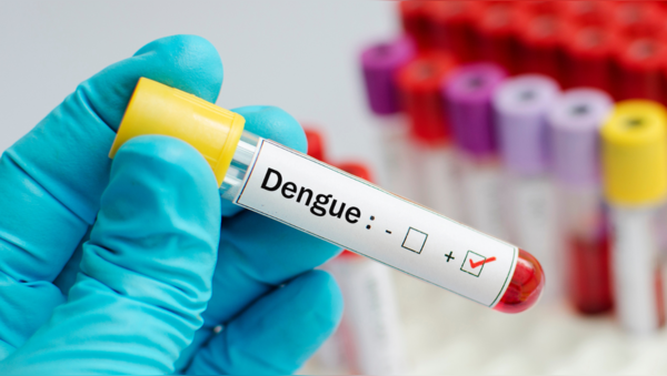 Dengue strain, new dengue strain delhi, delhi dengue