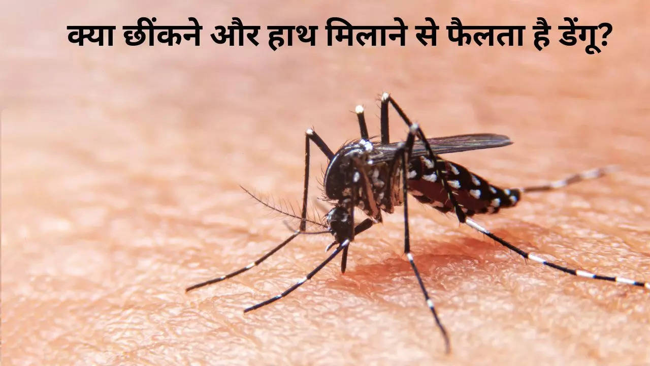 Dengue, Dengue Cases, Dengue Cases in India