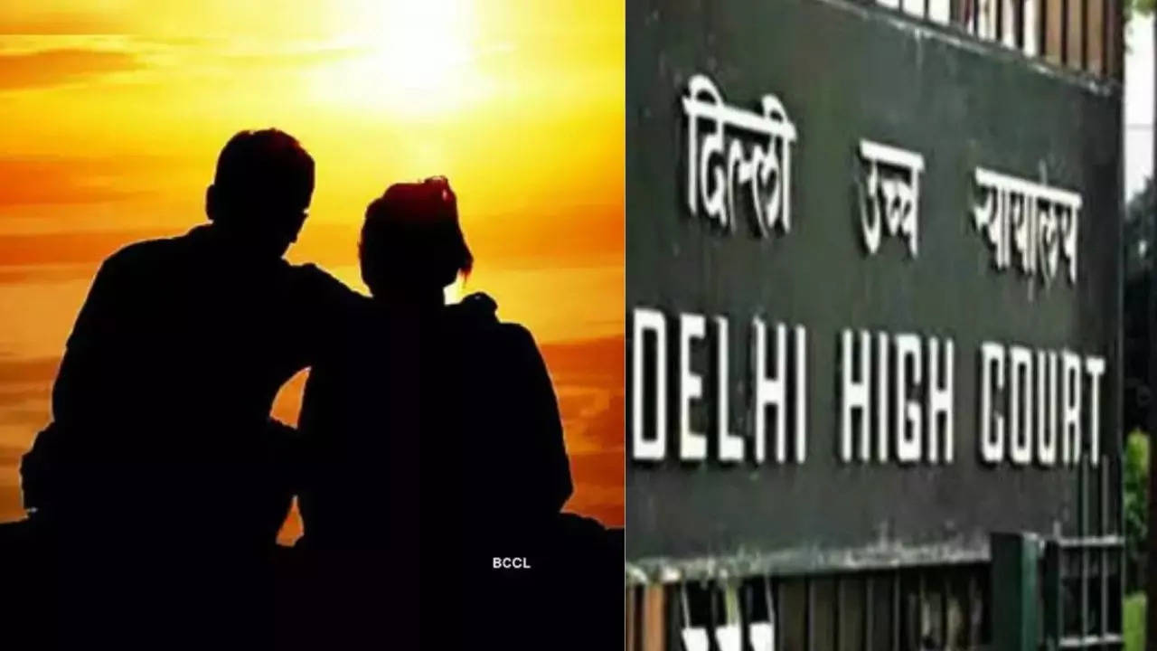 Live in relationship, Delhi High Court, Rape