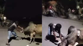 Bull Video बाहुबली की तरह सांड से भिड़ गया शख्स किया ऐसा हाल देखकर आंखों पर नहीं होगा यकीन