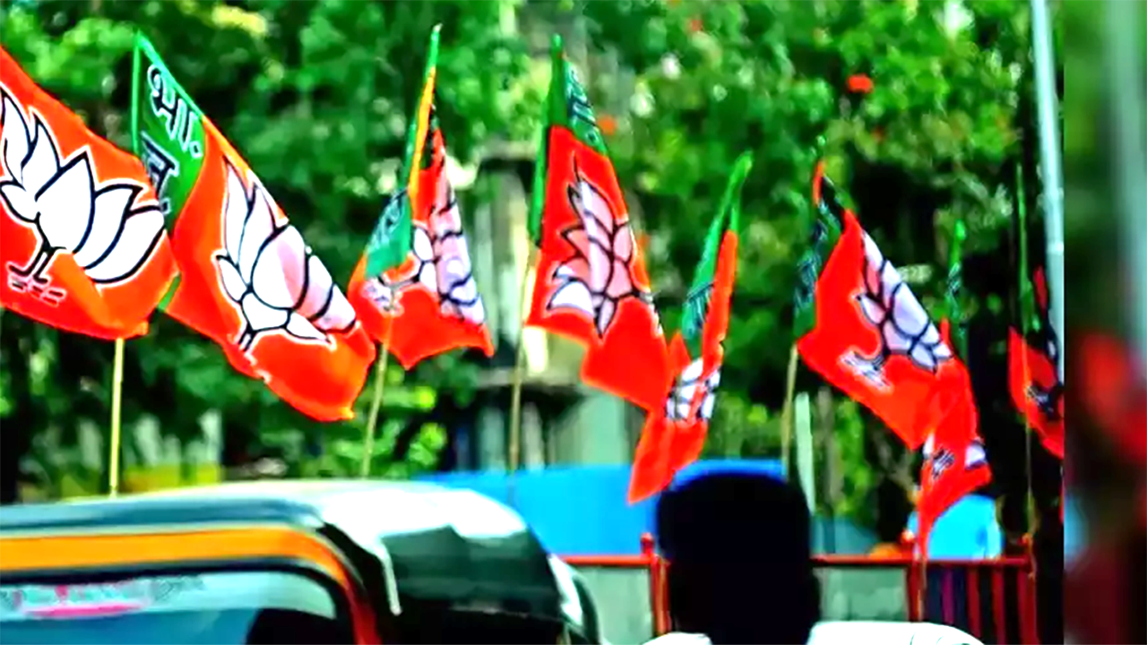 BJP FLAG