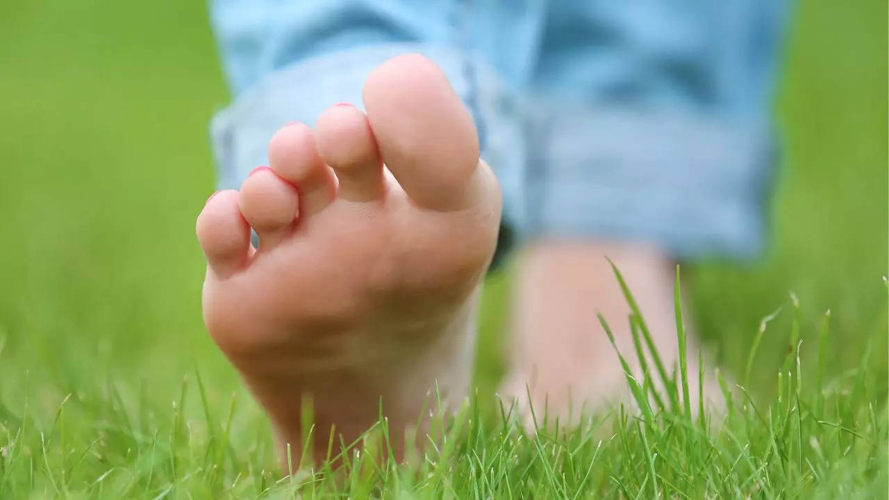 Walk Barefoot On Grass, Grass, Walk Barefoot