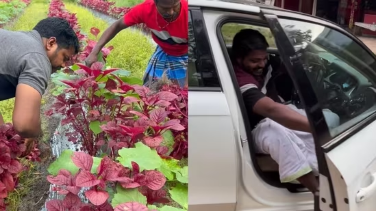 kerala farmer, rich kerala farmer, coming from india, trending news, viral news