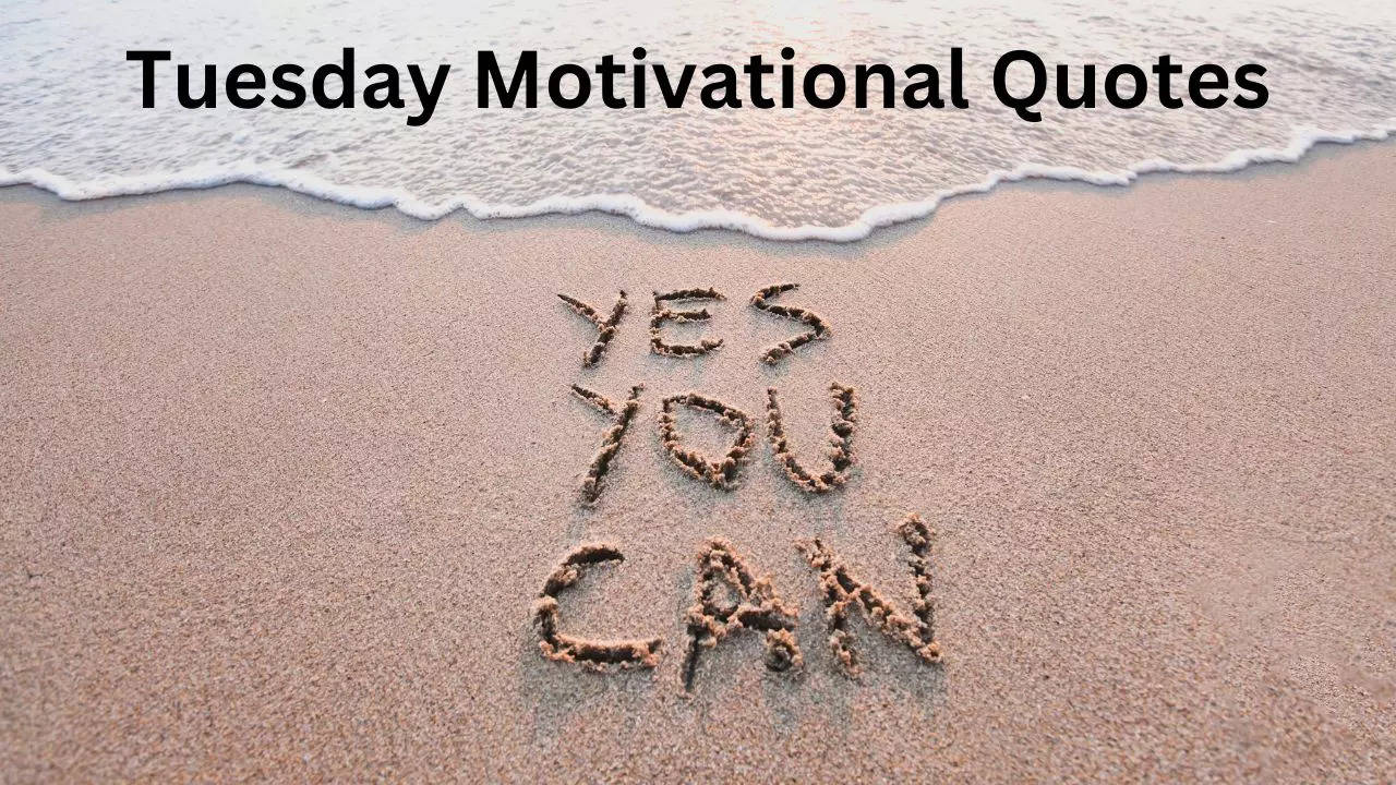 Tuesday Motivational Quotes, Motivational Quotes, Life Best Motivational Quotes