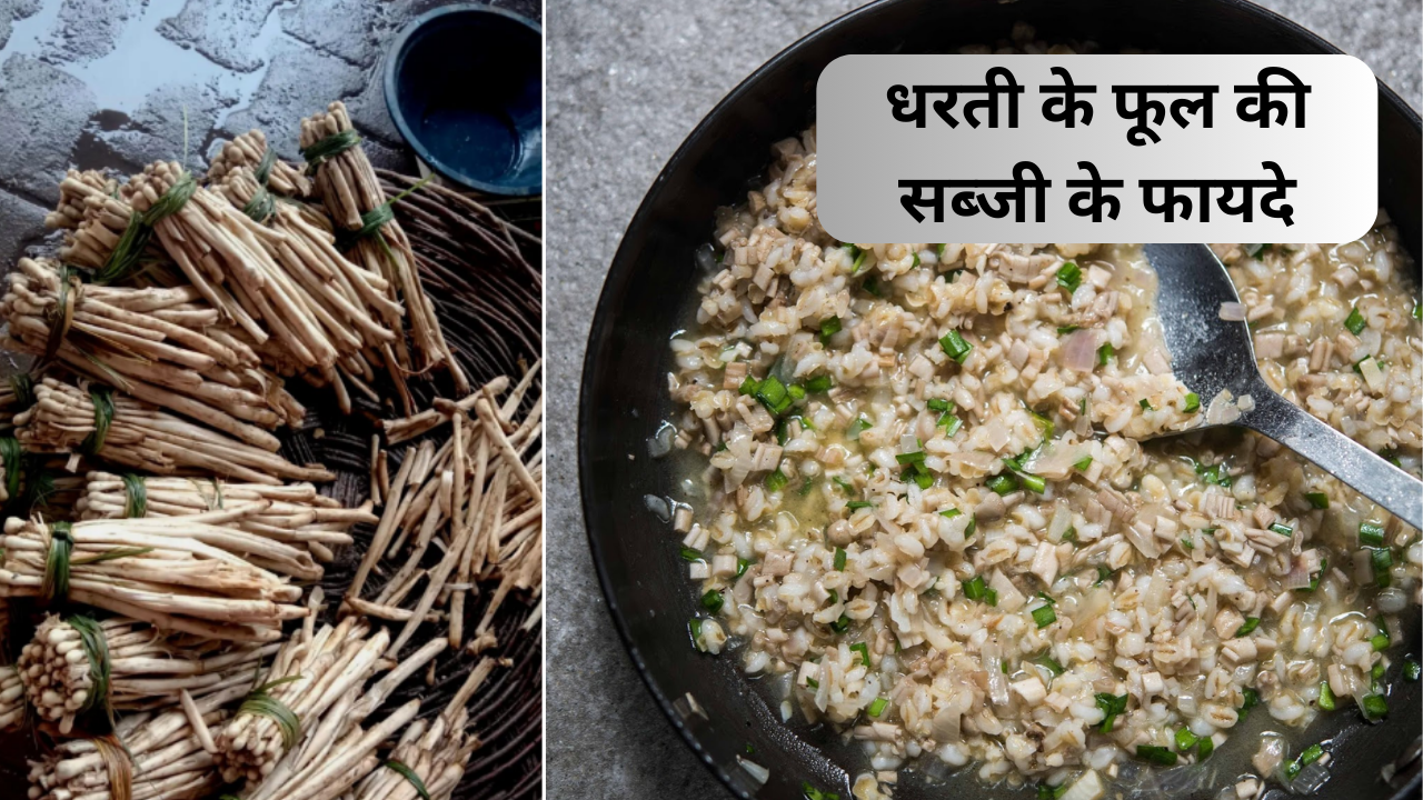 Dharti ke phool, wild mushroom, health benefits of seasonal vegetable