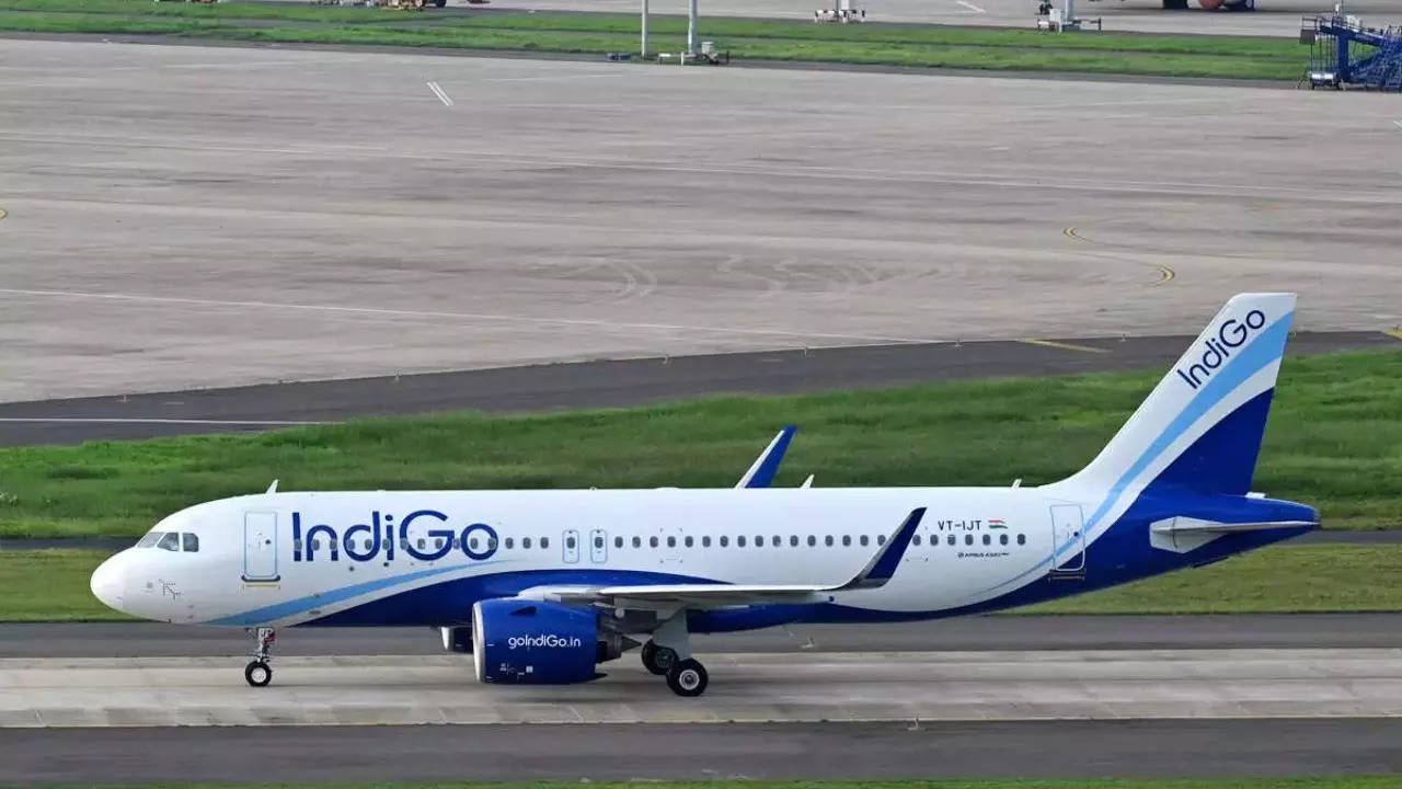 Indigo Flight