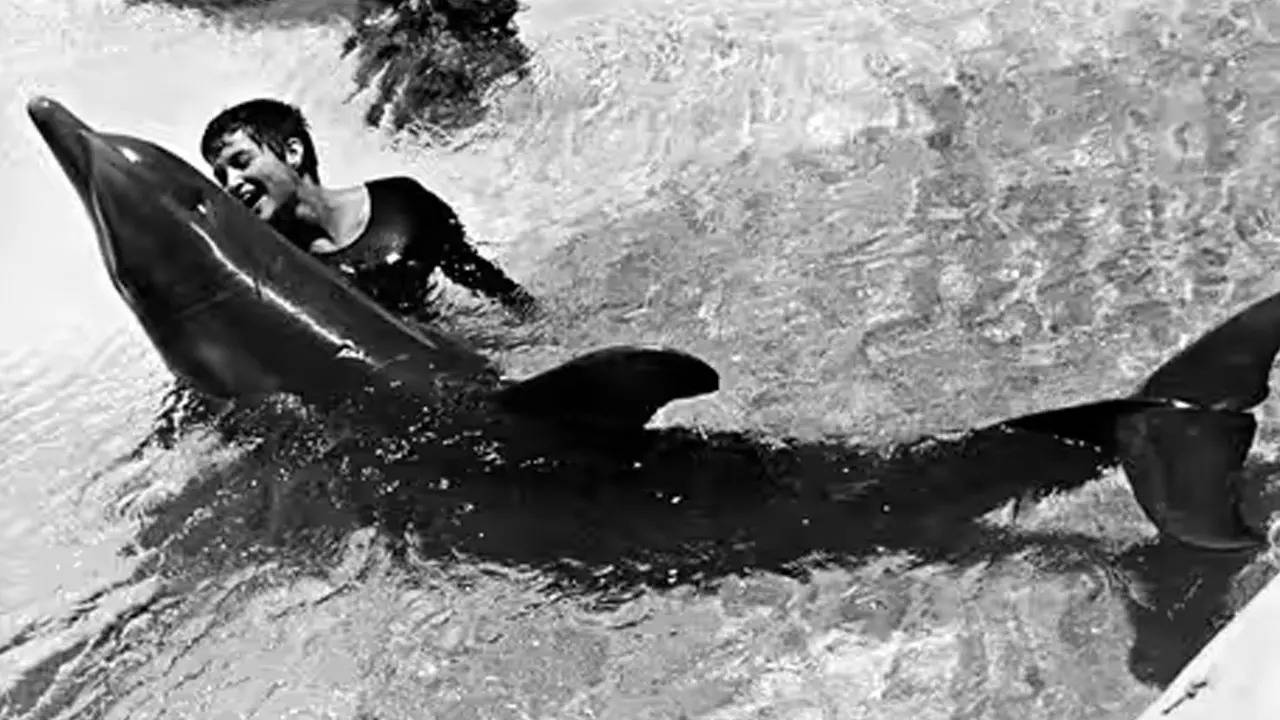 dolphin fell in love with woman