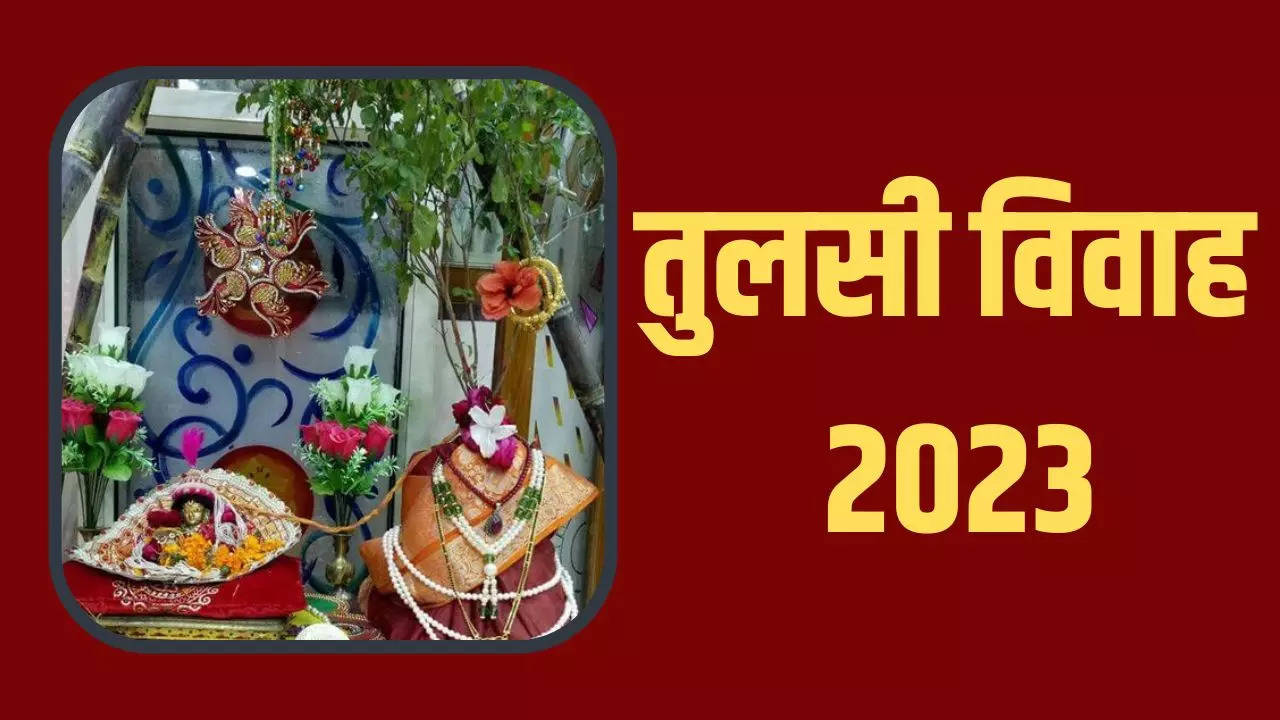 Tulsi Vivah Kab Hai 2023: Know Tulsi Vivah 2023 Date, Shubh Muhurat ...