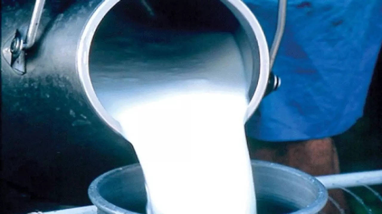 milk dairies in Muzaffarnagar