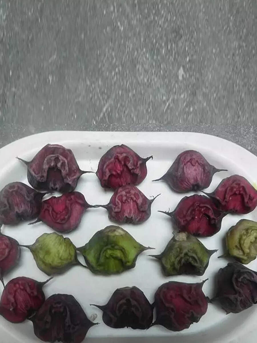 singhara-ke-fayde-benefits-of-water-chestnut-in-hindi-singhara