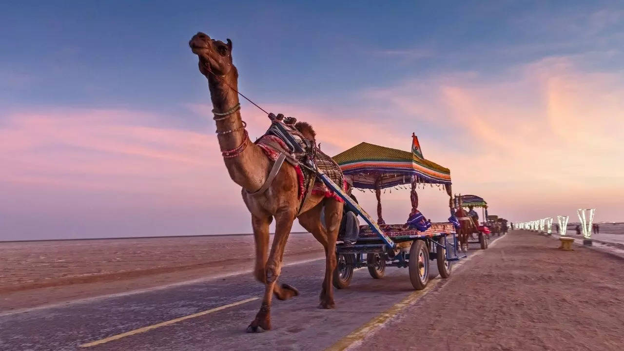 gujarat tourism rann utsav 2023