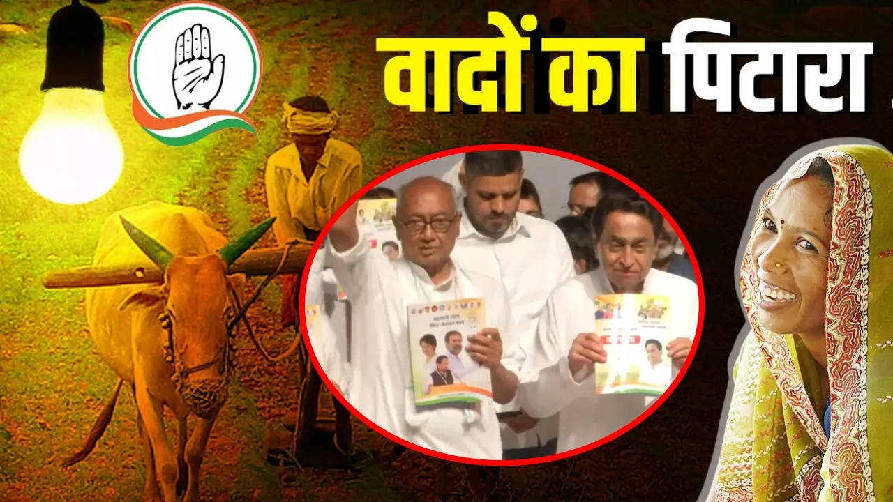 Manifesto For Madhya Pradesh Elections