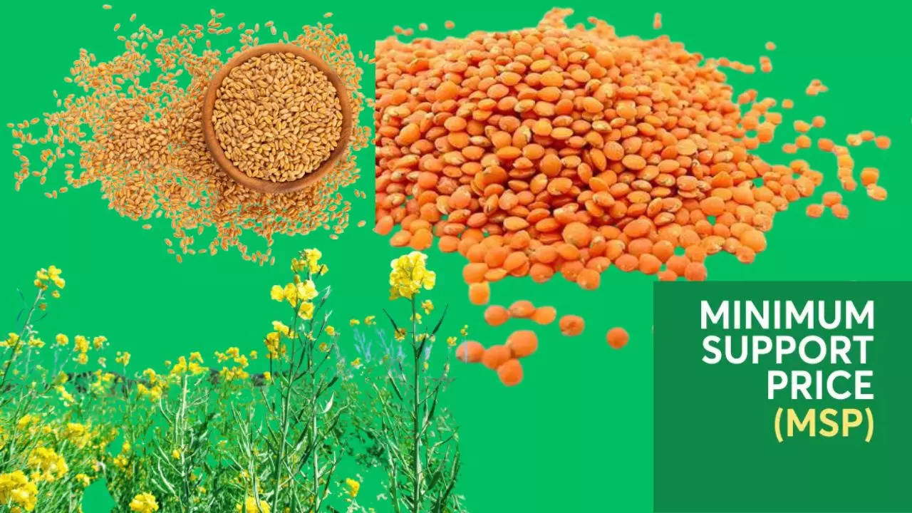 MSP For Rabi Crop