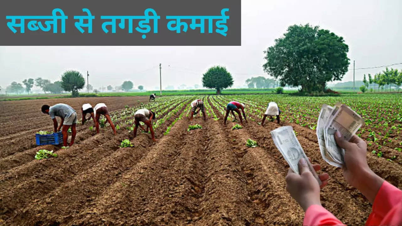 Success Story of Farmer