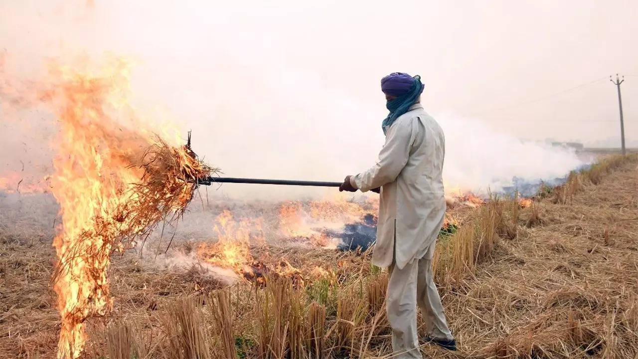 Stubble Burning in Haryana