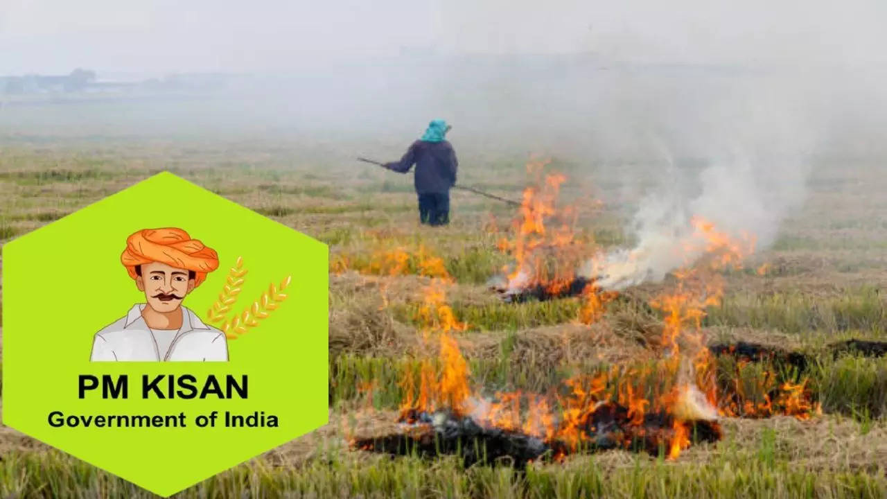 PM Kisan Yojana 15th Installment