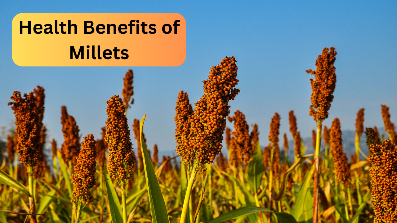 Health benefits of millets, millets ke fayde, sabut anaaj, jowar, bajra, ragi benefits