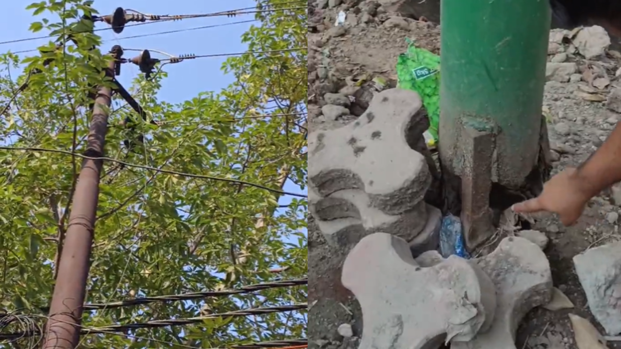 Jugaad Wala Electricity Pole