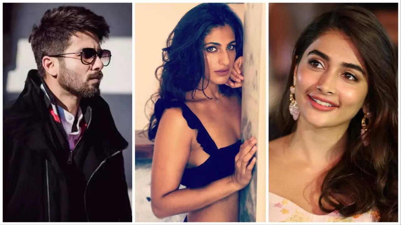 Shahid Kapoor-Kubbra Sait-Pooja Hegde