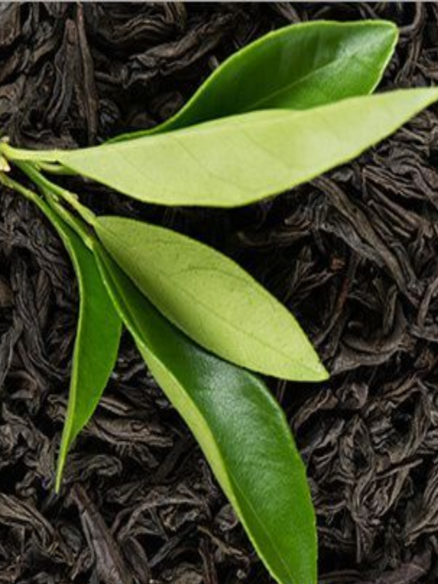 tea leaves are green so why is tea powder black चहाची पाने हिरवी