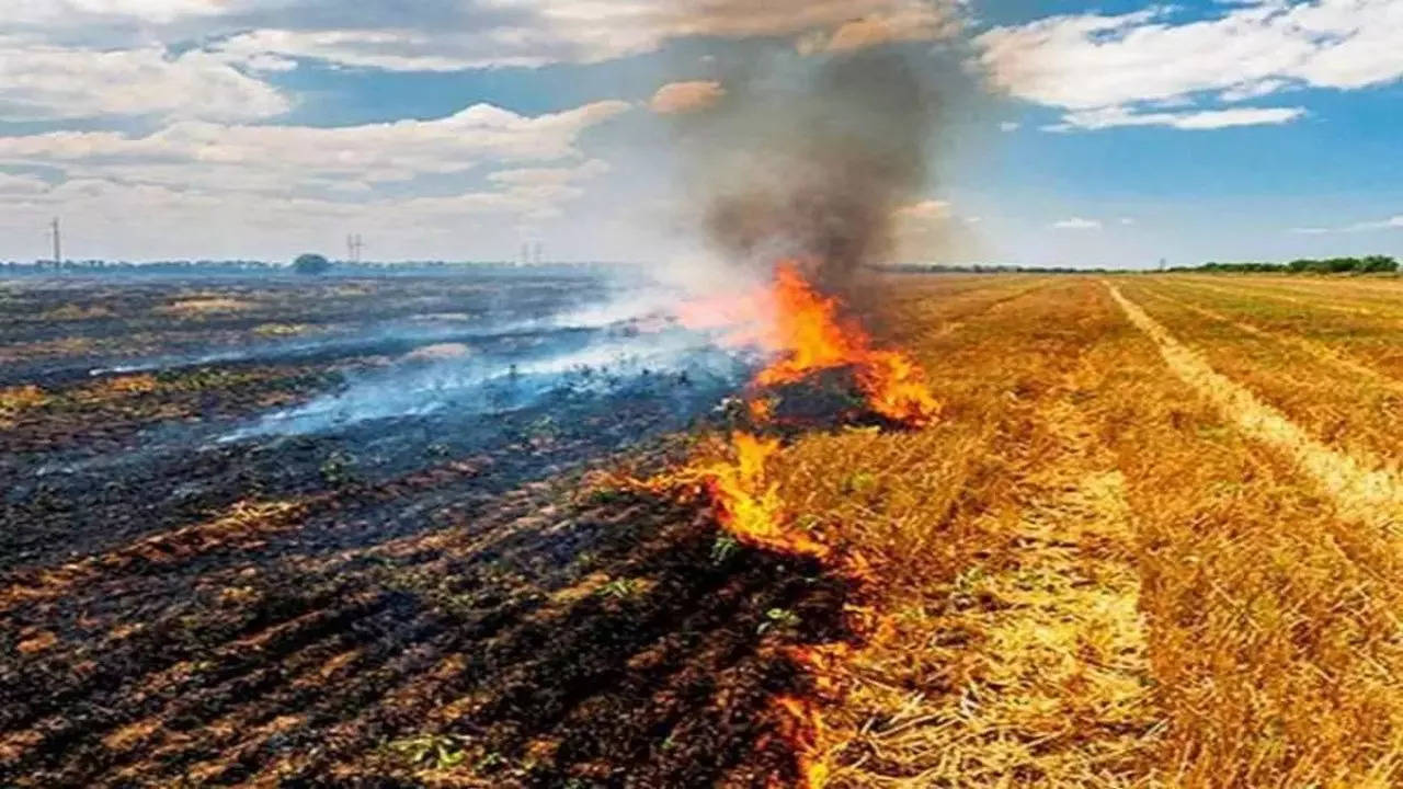 Stubble burning Punjab