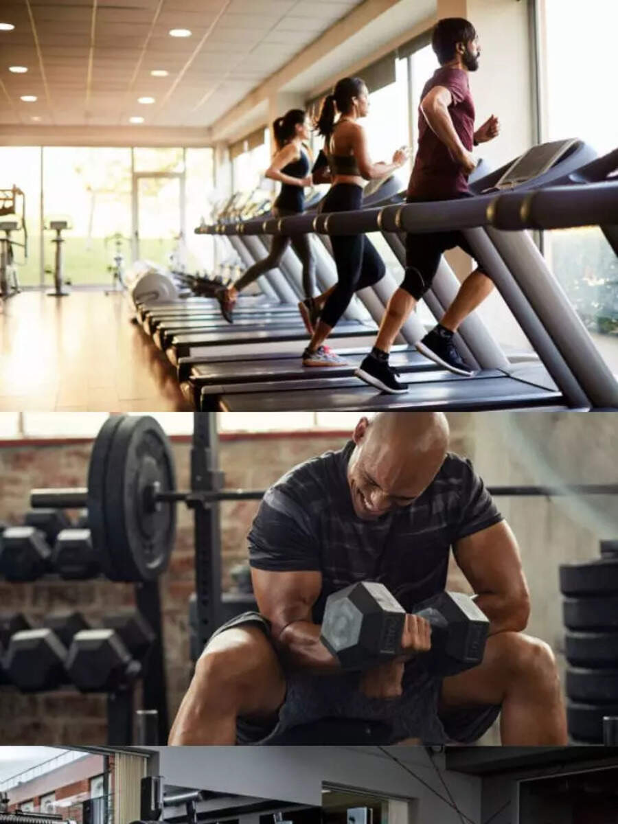 best gym in indiamost popular gym in the india check membership