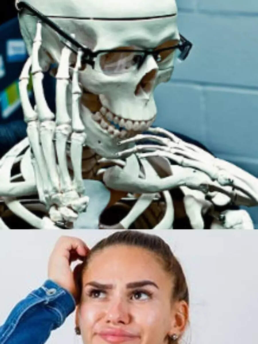 How many ribs does human body have here know the Answer Times Now