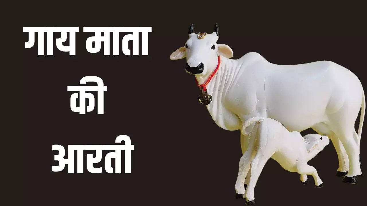 gau mata aarti